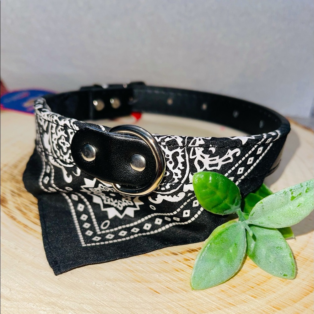 Brandera dog or cat collar for small to medium